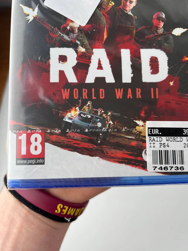 Raid World War 2 | Gioco Playstation 4